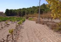 Resale - Land - Pinoso - Rural location