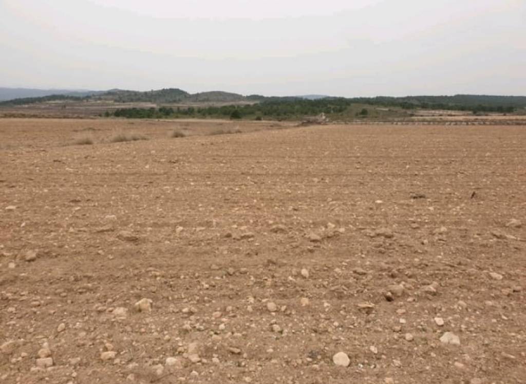 Resale - Land - Pinoso - Rural location