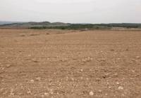 Resale - Land - Pinoso - Rural location