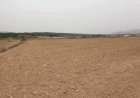 Resale - Land - Pinoso - Rural location