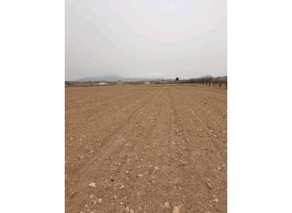 Resale - Land - Pinoso - Rural location