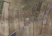 Resale - Land - Pinoso - Rural location