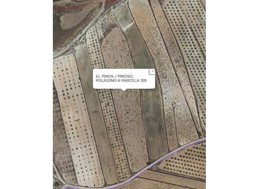 Resale - Land - Pinoso - Rural location