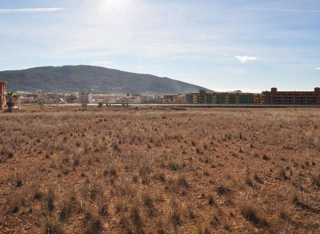Resale - Land - Pinoso - Rural location
