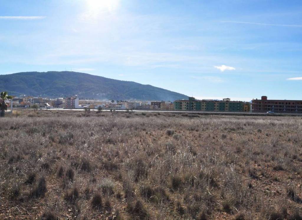 Resale - Land - Pinoso - Rural location