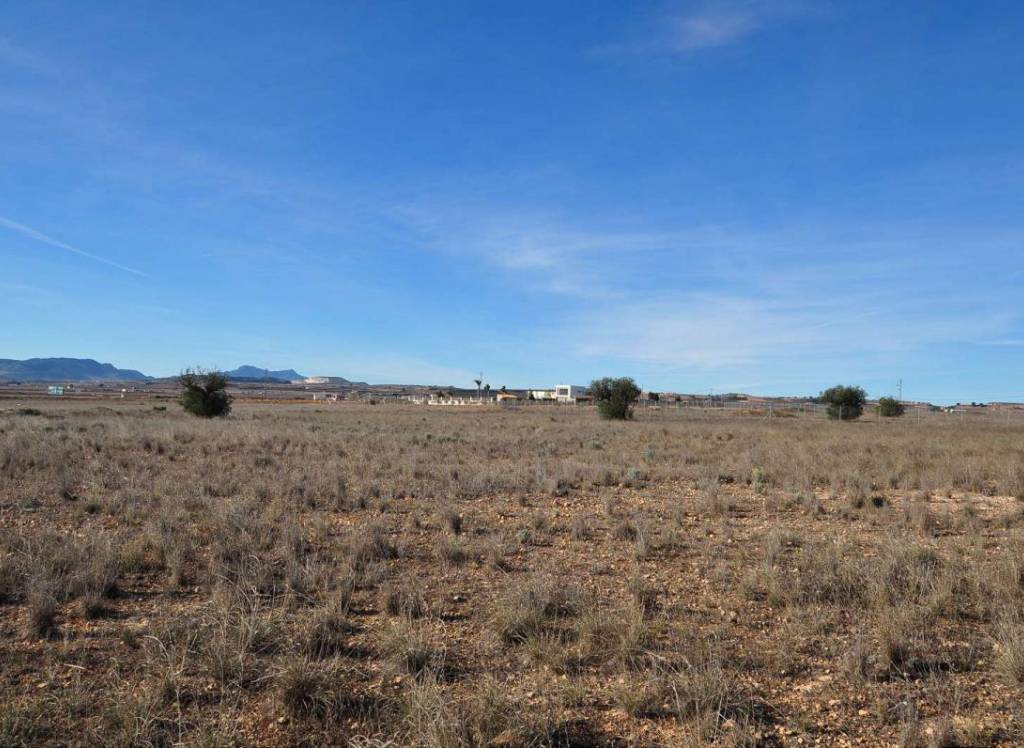 Resale - Land - Pinoso - Rural location