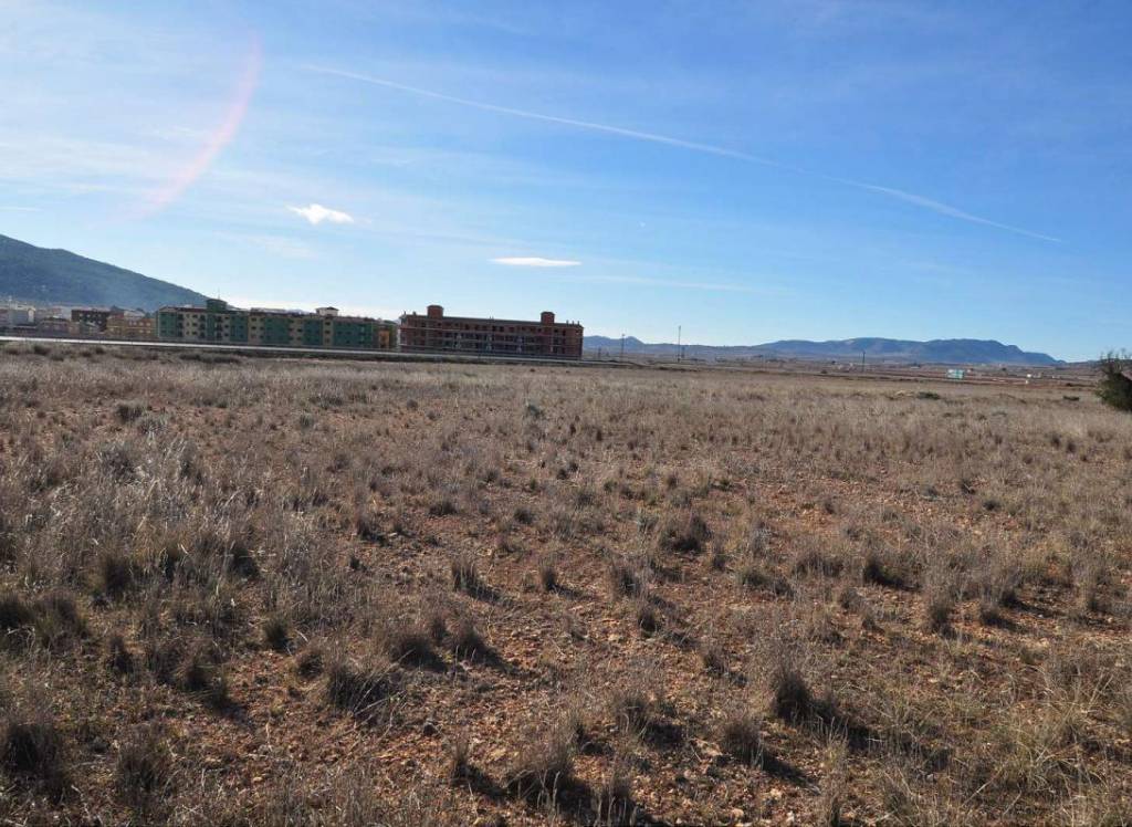 Resale - Land - Pinoso - Rural location