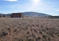 Resale - Land - Pinoso - Rural location