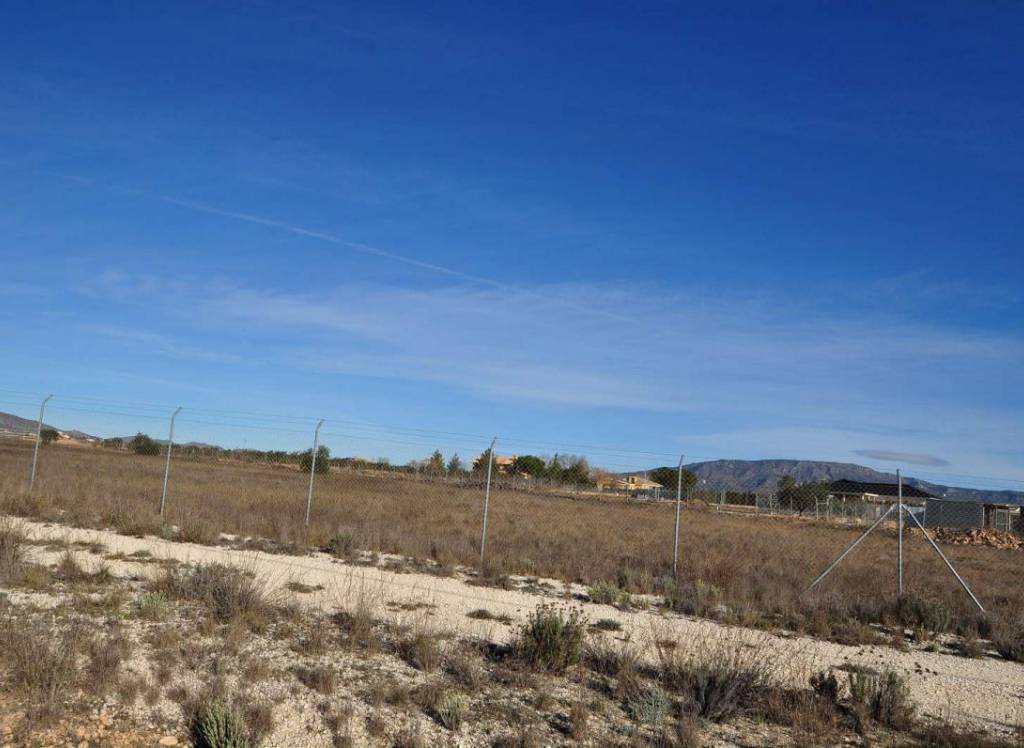 Resale - Land - Pinoso - Rural location