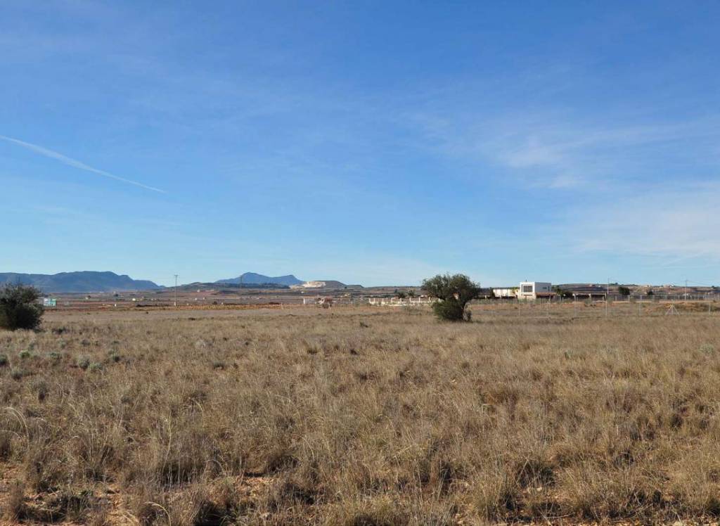 Resale - Land - Pinoso - Rural location