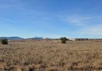 Resale - Land - Pinoso - Rural location