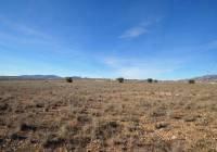 Resale - Land - Pinoso - Rural location