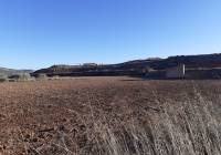 Resale - Land - Pinoso - Rural location