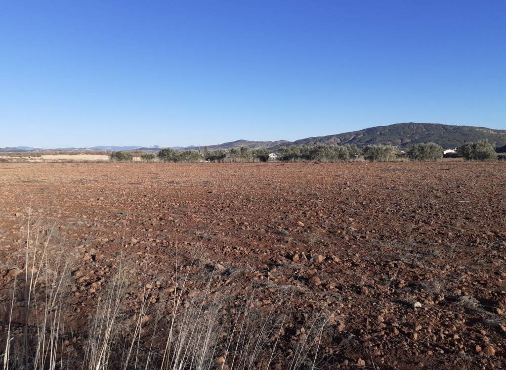 Resale - Land - Pinoso - Rural location