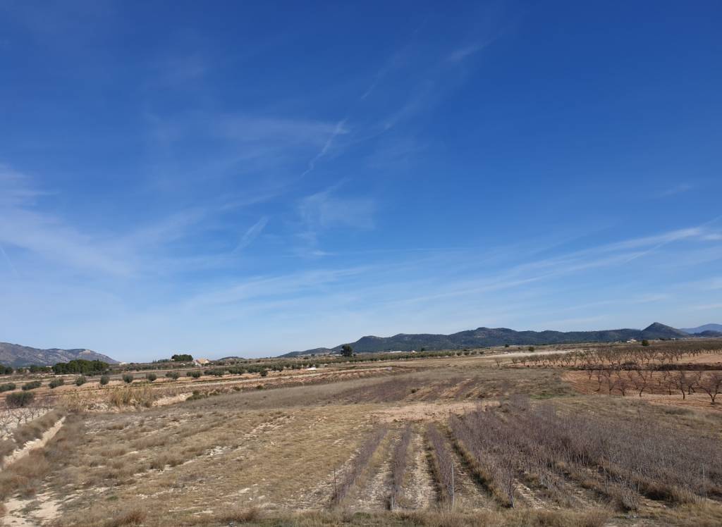 Resale - Land - Pinoso - Rural location