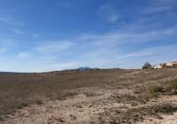 Resale - Land - Pinoso - Rural location