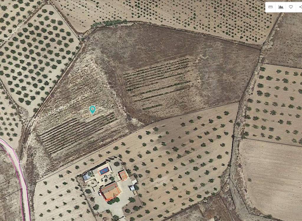 Resale - Land - Pinoso - Rural location