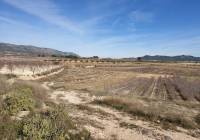 Resale - Land - Pinoso - Rural location
