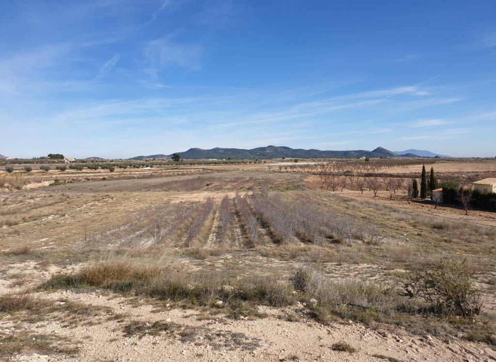 Resale - Land - Pinoso - Rural location