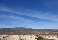 Resale - Land - Pinoso - Rural location