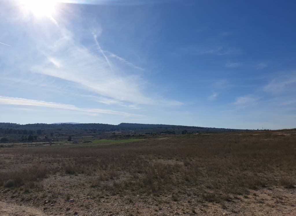 Resale - Land - Pinoso - Rural location