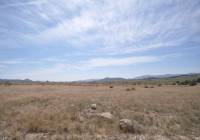 Resale - Land - Pinoso - Rural location