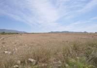 Resale - Land - Pinoso - Rural location