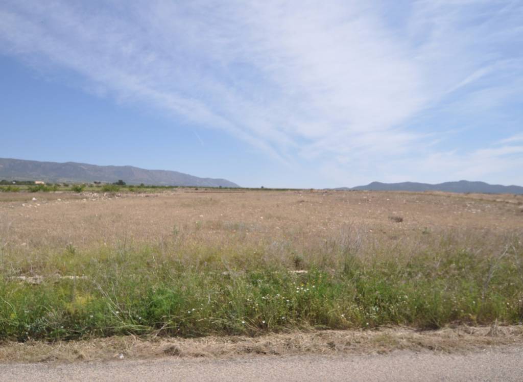 Resale - Land - Pinoso - Rural location