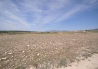 Resale - Land - Pinoso - Rural location