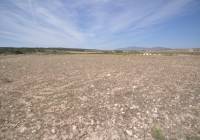 Resale - Land - Pinoso - Rural location