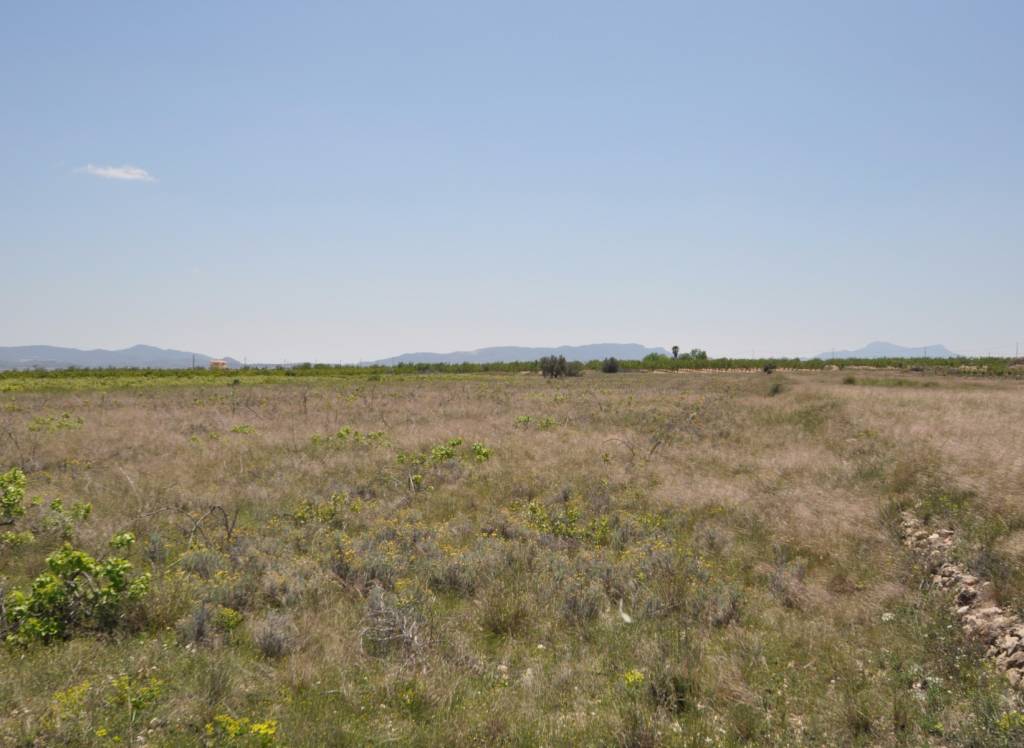 Resale - Land - Pinoso - Rural location