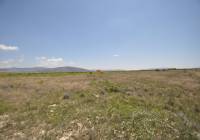 Resale - Land - Pinoso - Rural location