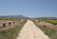 Resale - Land - Pinoso - Rural location