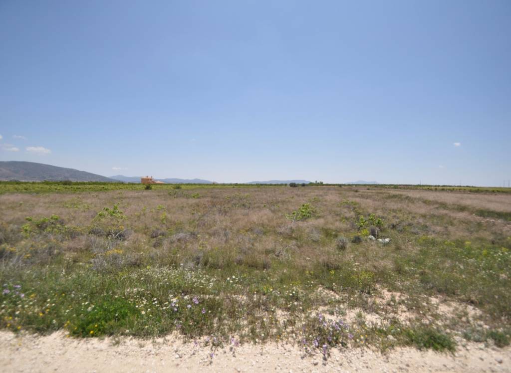 Resale - Land - Pinoso - Rural location