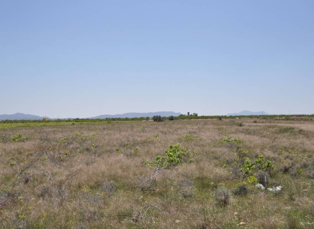 Resale - Land - Pinoso - Rural location