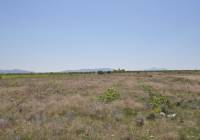 Resale - Land - Pinoso - Rural location