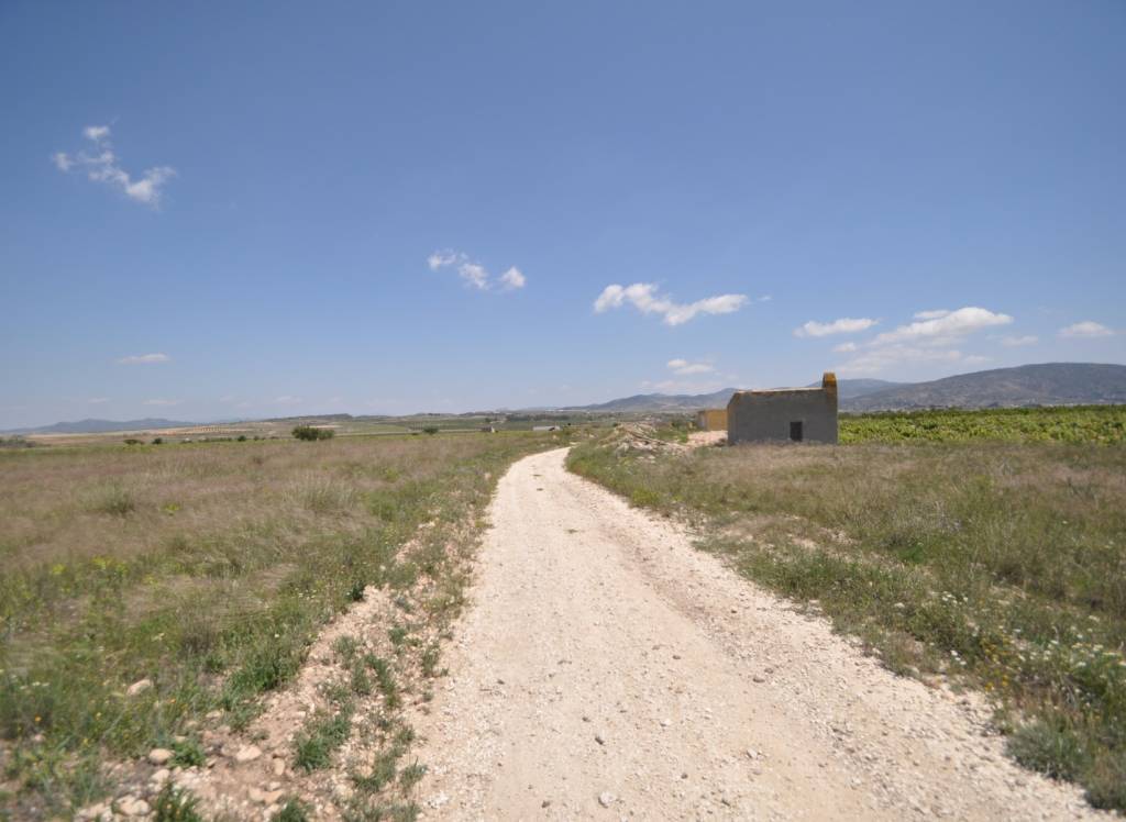 Resale - Land - Pinoso - Rural location