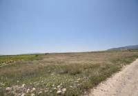 Resale - Land - Pinoso - Rural location