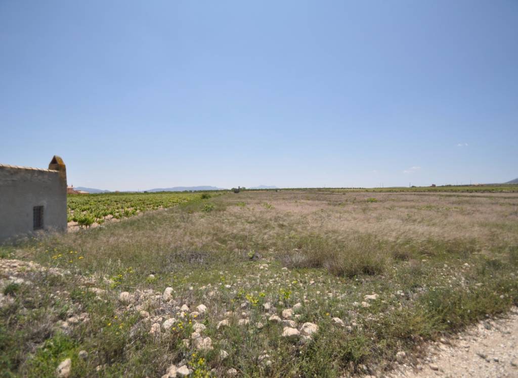 Resale - Land - Pinoso - Rural location