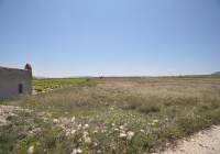 Resale - Land - Pinoso - Rural location