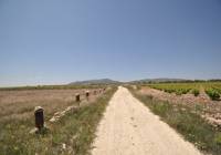 Resale - Land - Pinoso - Rural location