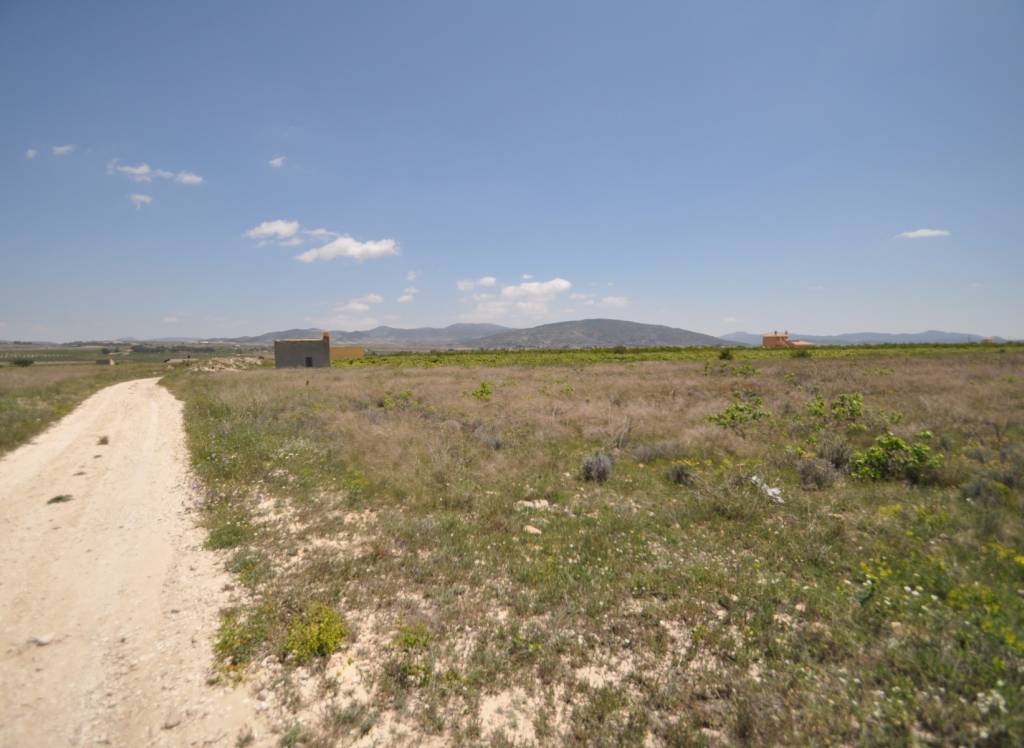 Resale - Land - Pinoso - Rural location
