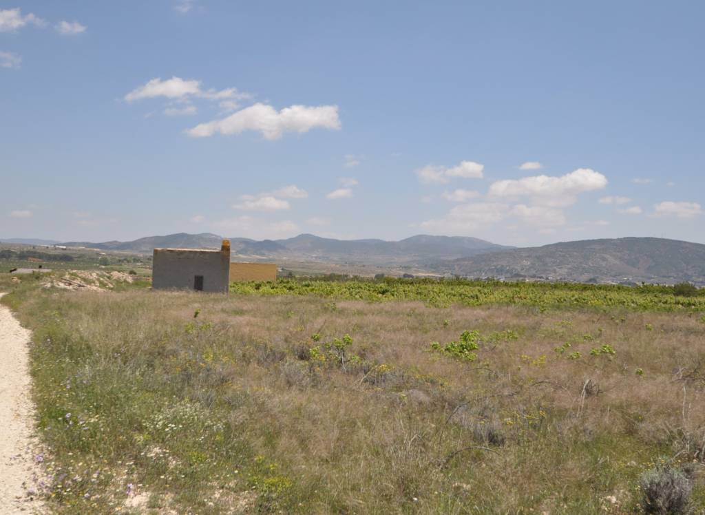 Resale - Land - Pinoso - Rural location