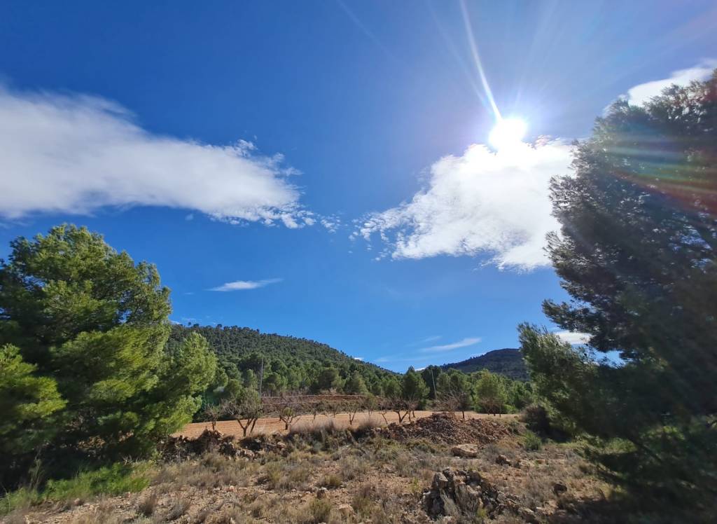 Resale - Land - Pinoso - Rural location