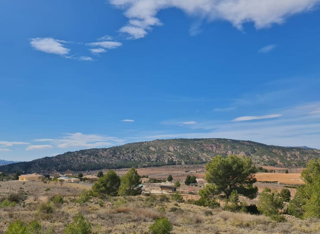 Resale - Land - Pinoso - Rural location