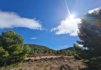 Resale - Land - Pinoso - Rural location