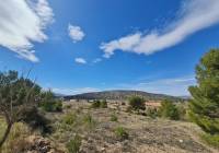 Resale - Land - Pinoso - Rural location