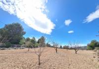 Resale - Land - Pinoso - Rural location