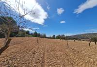 Resale - Land - Pinoso - Rural location