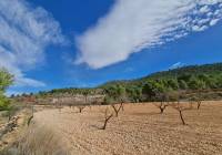 Resale - Land - Pinoso - Rural location